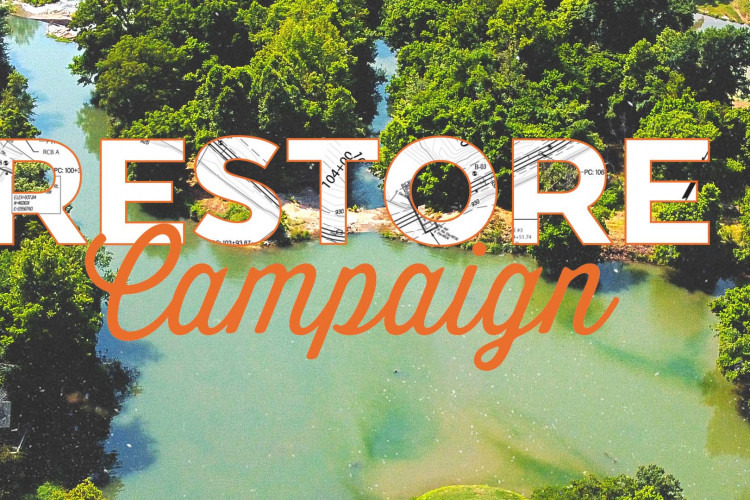 Campaña Restore